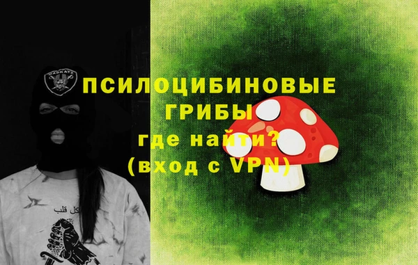 МДПВ Алзамай