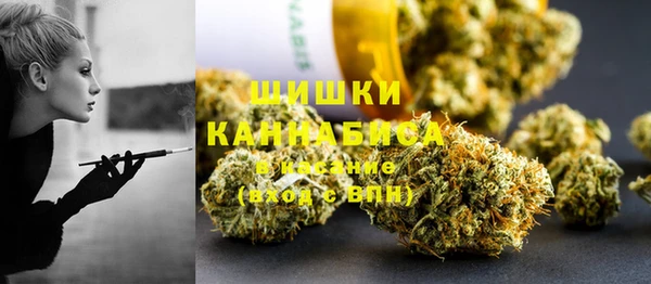 МДПВ Алзамай