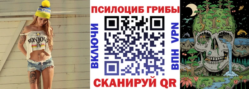 Псилоцибиновые грибы Psilocybine cubensis  купить  цена  Анадырь 